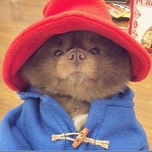 Meet your Posher, Julie